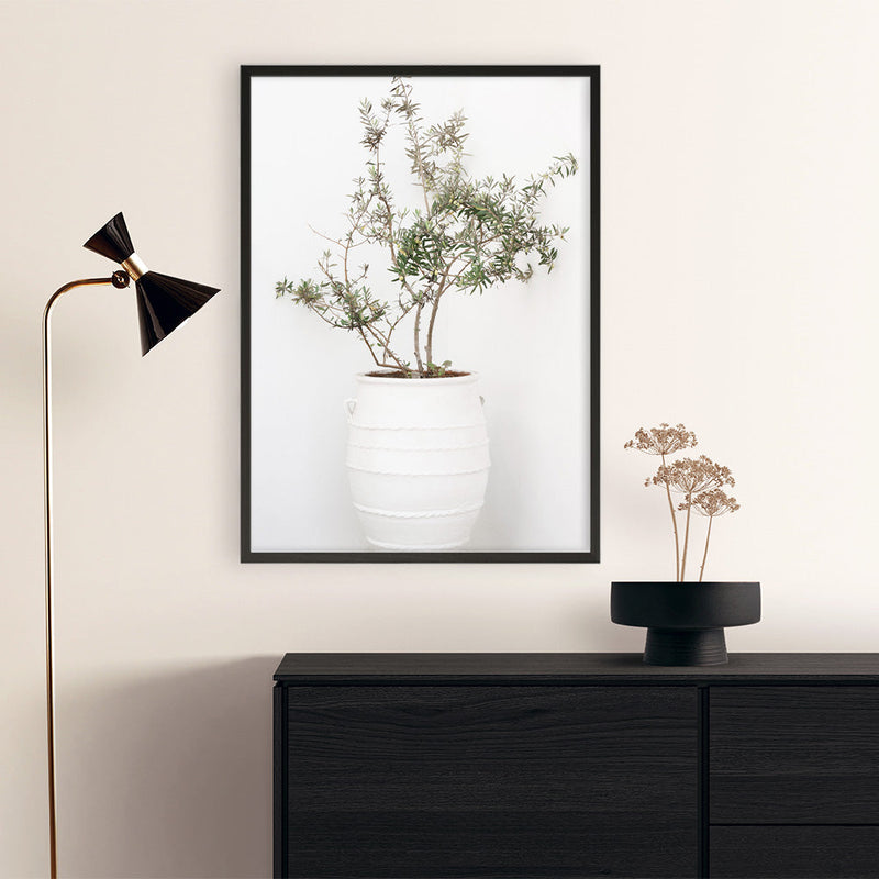 Olive Tree Photo Art Print