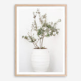 Shop Olive Tree Photo Art Print a photography wall art print from The Print Emporium wall artwork collection - Buy Australian made fine art poster and framed prints for the home and your interior decor room, TPE-1364-AP