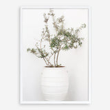Shop Olive Tree Photo Art Print a photography wall art print from The Print Emporium wall artwork collection - Buy Australian made fine art poster and framed prints for the home and your interior decor room, TPE-1364-AP