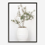 Shop Olive Tree Photo Art Print a photography wall art print from The Print Emporium wall artwork collection - Buy Australian made fine art poster and framed prints for the home and your interior decor room, TPE-1364-AP