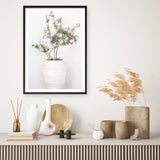 Olive Tree Photo Art Print