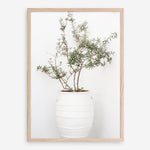 Shop Olive Tree Photo Art Print a photography wall art print from The Print Emporium wall artwork collection - Buy Australian made fine art poster and framed prints for the home and your interior decor room, TPE-1364-AP