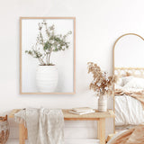 Olive Tree Photo Art Print