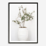 Shop Olive Tree Photo Art Print a photography wall art print from The Print Emporium wall artwork collection - Buy Australian made fine art poster and framed prints for the home and your interior decor room, TPE-1364-AP