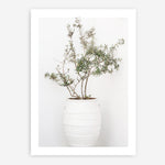 Shop Olive Tree Photo Art Print a photography wall art print from The Print Emporium wall artwork collection - Buy Australian made fine art poster and framed prints for the home and your interior decor room, TPE-1364-AP