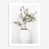 Shop Olive Tree Photo Art Print a photography wall art print from The Print Emporium wall artwork collection - Buy Australian made fine art poster and framed prints for the home and your interior decor room, TPE-1364-AP
