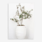 Shop Olive Tree Photo Art Print a photography wall art print from The Print Emporium wall artwork collection - Buy Australian made fine art poster and framed prints for the home and your interior decor room, TPE-1364-AP