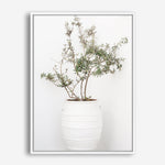 Shop Olive Tree Photo Canvas Print a photography framed stretched canvas print from The Print Emporium wall artwork collection - Buy Australian made prints for the home and your interior decor space, TPE-1364-CA-35X46-NF