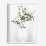 Shop Olive Tree Photo Canvas Print a photography framed stretched canvas print from The Print Emporium wall artwork collection - Buy Australian made prints for the home and your interior decor space, TPE-1364-CA-35X46-NF