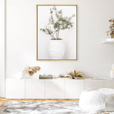 Shop Olive Tree Photo Canvas Print a photography framed stretched canvas print from The Print Emporium wall artwork collection - Buy Australian made prints for the home and your interior decor space, TPE-1364-CA-35X46-NF