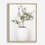 Shop Olive Tree Photo Canvas Print a photography framed stretched canvas print from The Print Emporium wall artwork collection - Buy Australian made prints for the home and your interior decor space, TPE-1364-CA-35X46-NF
