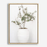 Shop Olive Tree Photo Canvas Print a photography framed stretched canvas print from The Print Emporium wall artwork collection - Buy Australian made prints for the home and your interior decor space, TPE-1364-CA-35X46-NF