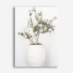Shop Olive Tree Photo Canvas Print a photography framed stretched canvas print from The Print Emporium wall artwork collection - Buy Australian made prints for the home and your interior decor space, TPE-1364-CA-35X46-NF
