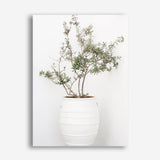 Shop Olive Tree Photo Canvas Print a photography framed stretched canvas print from The Print Emporium wall artwork collection - Buy Australian made prints for the home and your interior decor space, TPE-1364-CA-35X46-NF