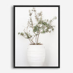 Shop Olive Tree Photo Canvas Print a photography framed stretched canvas print from The Print Emporium wall artwork collection - Buy Australian made prints for the home and your interior decor space, TPE-1364-CA-35X46-NF