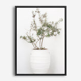 Shop Olive Tree Photo Canvas Print a photography framed stretched canvas print from The Print Emporium wall artwork collection - Buy Australian made prints for the home and your interior decor space, TPE-1364-CA-35X46-NF