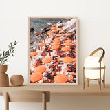 Shop One Fire Club I Photo Art Print a coastal themed photography wall art print from The Print Emporium wall artwork collection - Buy Australian made fine art poster and framed prints for the home and your interior decor, TPE-750-AP