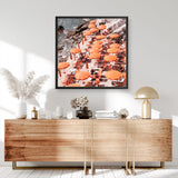 Shop One Fire Club I (Square) Photo Art Print a coastal themed photography wall art print from The Print Emporium wall artwork collection - Buy Australian made fine art poster and framed prints for the home and your interior decor, TPE-866-AP