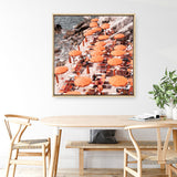 Shop One Fire Club I (Square) Photo Canvas a coastal themed photography framed stretched canvas print from The Print Emporium wall artwork collection - Buy Australian made prints for the home and your interior decor space, TPE-866-CA-40X40-NF