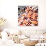 Shop One Fire Club I (Square) Photo Canvas a coastal themed photography framed stretched canvas print from The Print Emporium wall artwork collection - Buy Australian made prints for the home and your interior decor space, TPE-866-CA-40X40-NF