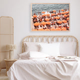 Shop One Fire Club VI Photo Art Print a coastal themed photography wall art print from The Print Emporium wall artwork collection - Buy Australian made fine art poster and framed prints for the home and your interior decor, TPE-864-AP