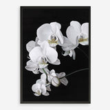 Shop Orchid Art Print a floral themed painted wall art print from The Print Emporium wall artwork collection - Buy Australian made fine art painting style poster and framed prints for the home and your interior decor room, TPE-021-AP