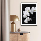 Shop Orchid Art Print a floral themed painted wall art print from The Print Emporium wall artwork collection - Buy Australian made fine art painting style poster and framed prints for the home and your interior decor room, TPE-021-AP