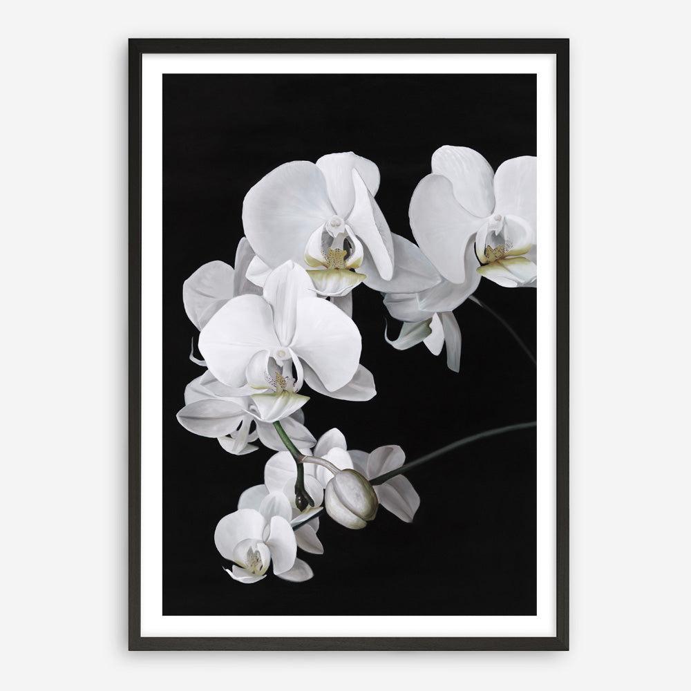 Buy Orchid Art Print | The Print Emporium®