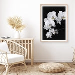 Shop Orchid Art Print a floral themed painted wall art print from The Print Emporium wall artwork collection - Buy Australian made fine art painting style poster and framed prints for the home and your interior decor room, TPE-021-AP