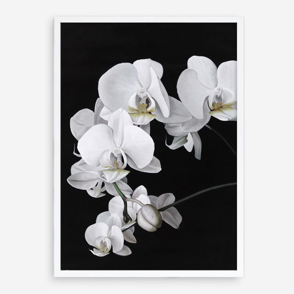 Shop Orchid Art Print a floral themed painted wall art print from The Print Emporium wall artwork collection - Buy Australian made fine art painting style poster and framed prints for the home and your interior decor room, TPE-021-AP