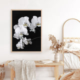 Shop Orchid Art Print a floral themed painted wall art print from The Print Emporium wall artwork collection - Buy Australian made fine art painting style poster and framed prints for the home and your interior decor room, TPE-021-AP