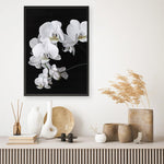 Shop Orchid Art Print a floral themed painted wall art print from The Print Emporium wall artwork collection - Buy Australian made fine art painting style poster and framed prints for the home and your interior decor room, TPE-021-AP