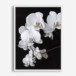 Shop Orchid Canvas Print a floral themed painted framed canvas wall art print from The Print Emporium artwork collection - Buy Australian made fine art painting style stretched canvas prints for the home and your interior decor space, TPE-021-CA-35X46-NF