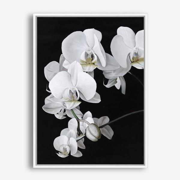 Shop Orchid Canvas Print a floral themed painted framed canvas wall art print from The Print Emporium artwork collection - Buy Australian made fine art painting style stretched canvas prints for the home and your interior decor space, TPE-021-CA-35X46-NF