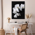 Shop Orchid Canvas Print a floral themed painted framed canvas wall art print from The Print Emporium artwork collection - Buy Australian made fine art painting style stretched canvas prints for the home and your interior decor space, TPE-021-CA-35X46-NF