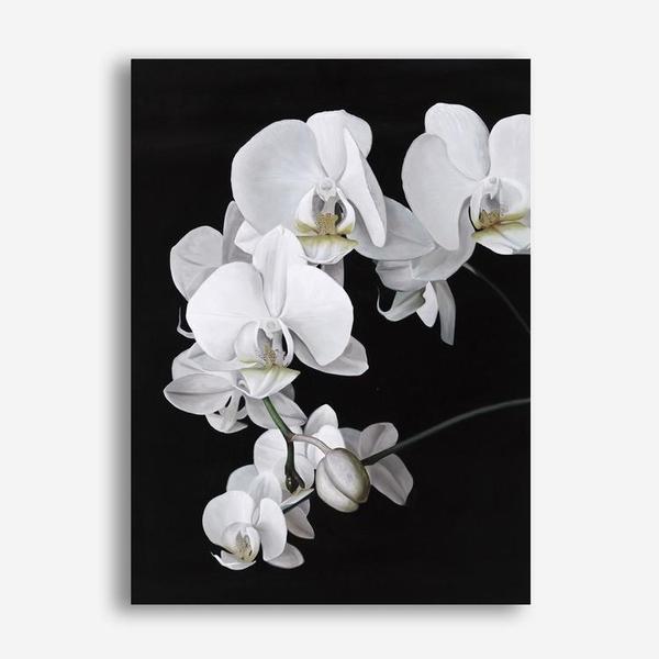 Shop Orchid Canvas Print a floral themed painted framed canvas wall art print from The Print Emporium artwork collection - Buy Australian made fine art painting style stretched canvas prints for the home and your interior decor space, TPE-021-CA-35X46-NF