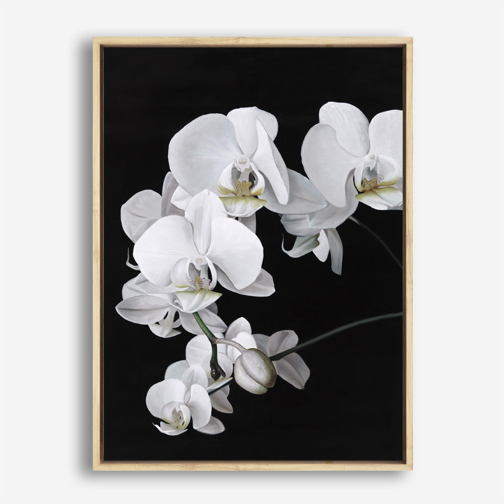 Shop Orchid Canvas Print a floral themed painted framed canvas wall art print from The Print Emporium artwork collection - Buy Australian made fine art painting style stretched canvas prints for the home and your interior decor space, TPE-021-CA-35X46-NF