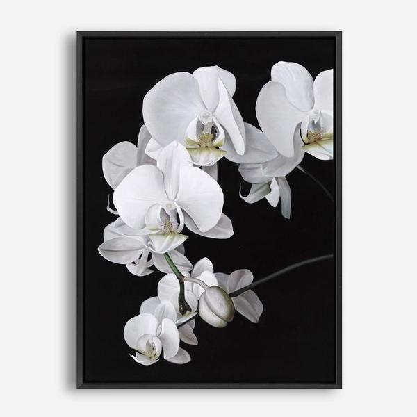 Shop Orchid Canvas Print a floral themed painted framed canvas wall art print from The Print Emporium artwork collection - Buy Australian made fine art painting style stretched canvas prints for the home and your interior decor space, TPE-021-CA-35X46-NF