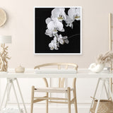 Shop Orchid (Square) Art Print a floral themed painted wall art print from The Print Emporium wall artwork collection - Buy Australian made fine art painting style poster and framed prints for the home and your interior decor room, TPE-060-AP
