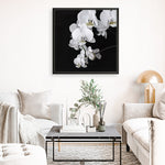Shop Orchid (Square) Art Print a floral themed painted wall art print from The Print Emporium wall artwork collection - Buy Australian made fine art painting style poster and framed prints for the home and your interior decor room, TPE-060-AP