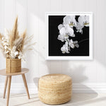 Shop Orchid (Square) Art Print a floral themed painted wall art print from The Print Emporium wall artwork collection - Buy Australian made fine art painting style poster and framed prints for the home and your interior decor room, TPE-060-AP
