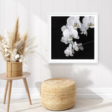 Shop Orchid (Square) Art Print a floral themed painted wall art print from The Print Emporium wall artwork collection - Buy Australian made fine art painting style poster and framed prints for the home and your interior decor room, TPE-060-AP