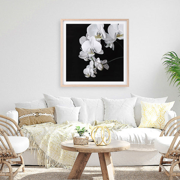 Shop Orchid (Square) Art Print a floral themed painted wall art print from The Print Emporium wall artwork collection - Buy Australian made fine art painting style poster and framed prints for the home and your interior decor room, TPE-060-AP