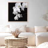 Shop Orchid (Square) Art Print a floral themed painted wall art print from The Print Emporium wall artwork collection - Buy Australian made fine art painting style poster and framed prints for the home and your interior decor room, TPE-060-AP
