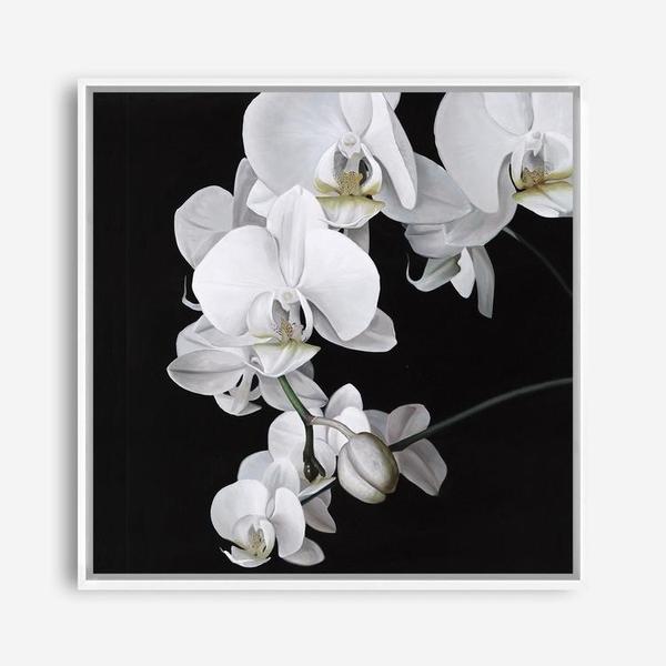 Shop Orchid (Square) Canvas Print a floral themed painted framed canvas wall art print from The Print Emporium artwork collection - Buy Australian made fine art painting style stretched canvas prints for the home and your interior decor space, TPE-060-CA-40X40-NF
