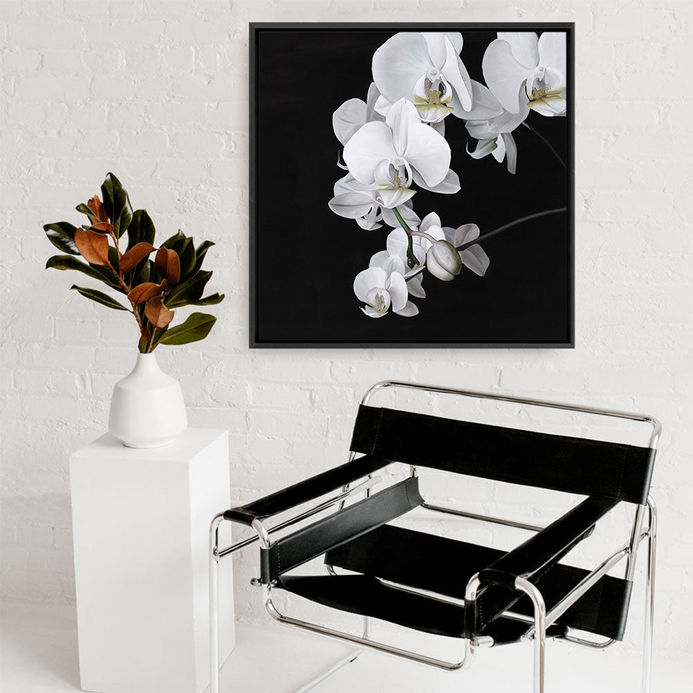 Shop Orchid (Square) Canvas Print a floral themed painted framed canvas wall art print from The Print Emporium artwork collection - Buy Australian made fine art painting style stretched canvas prints for the home and your interior decor space, TPE-060-CA-40X40-NF