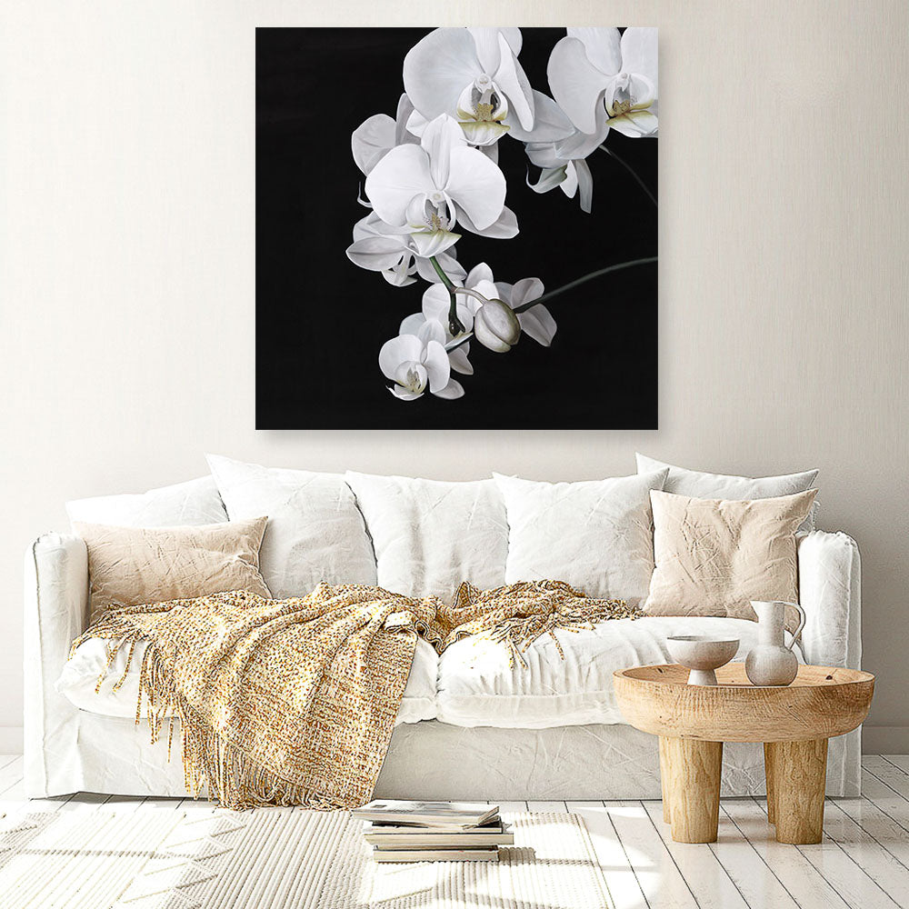 Shop Orchid (Square) Canvas Print a floral themed painted framed canvas wall art print from The Print Emporium artwork collection - Buy Australian made fine art painting style stretched canvas prints for the home and your interior decor space, TPE-060-CA-40X40-NF
