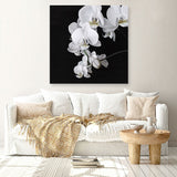Shop Orchid (Square) Canvas Print a floral themed painted framed canvas wall art print from The Print Emporium artwork collection - Buy Australian made fine art painting style stretched canvas prints for the home and your interior decor space, TPE-060-CA-40X40-NF