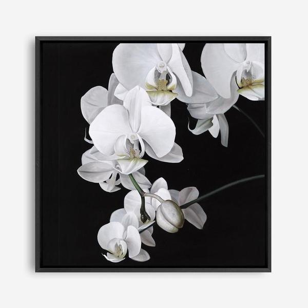 Shop Orchid (Square) Canvas Print a floral themed painted framed canvas wall art print from The Print Emporium artwork collection - Buy Australian made fine art painting style stretched canvas prints for the home and your interior decor space, TPE-060-CA-40X40-NF