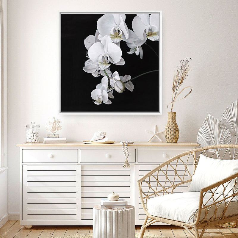 Shop Orchid (Square) Canvas Print a floral themed painted framed canvas wall art print from The Print Emporium artwork collection - Buy Australian made fine art painting style stretched canvas prints for the home and your interior decor space, TPE-060-CA-40X40-NF